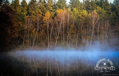 Waldsee6088_24