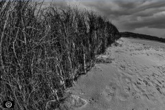 ©Holger Bornschein - Strandbereichtrenner-in-Cuxhaven