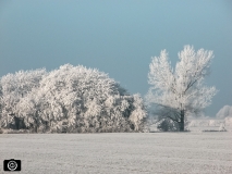 ©Holger Bornschein - Winterzauber-6059_07